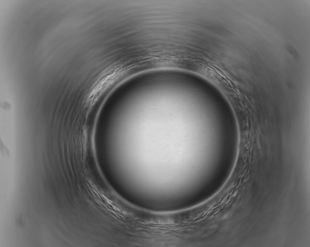 X0000091090194200708061644