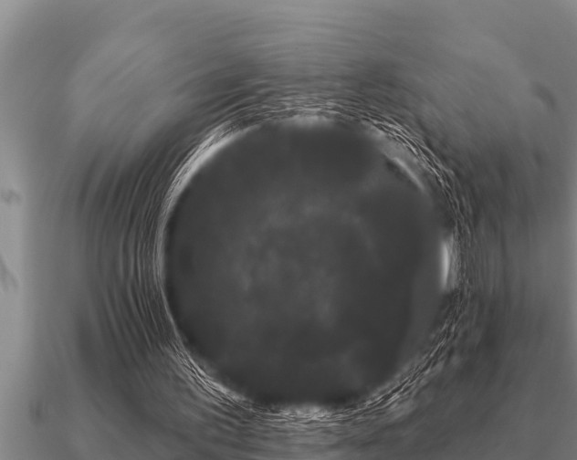 X0000091090195200708061644
