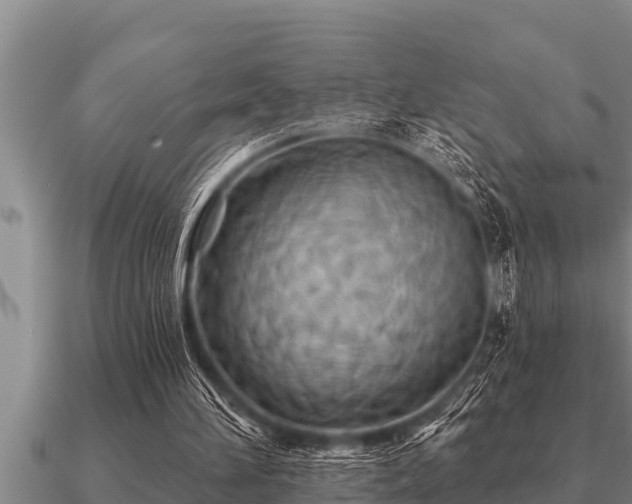 X0000091090196200708061644