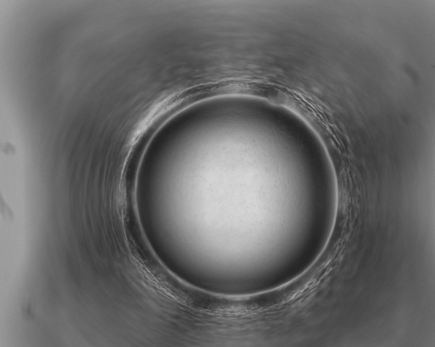 X0000091090198200708061644