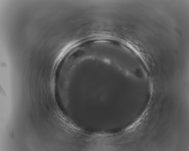 X0000091090199200708061644