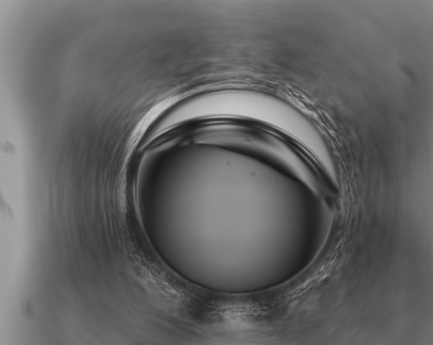 X0000091090200200708061644