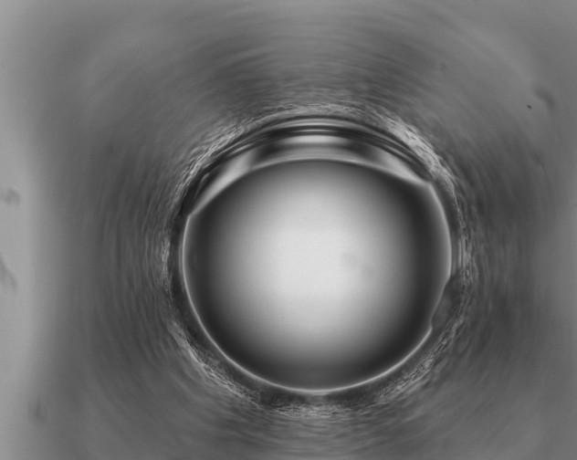 X0000091090201200708061644