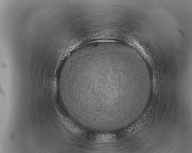 X0000091090202200708061644