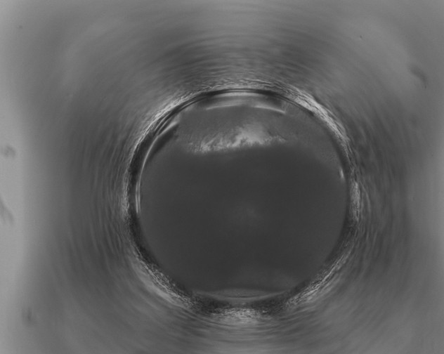 X0000091090203200708061644