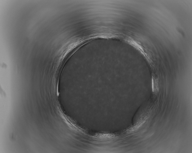 X0000091090205200708061644