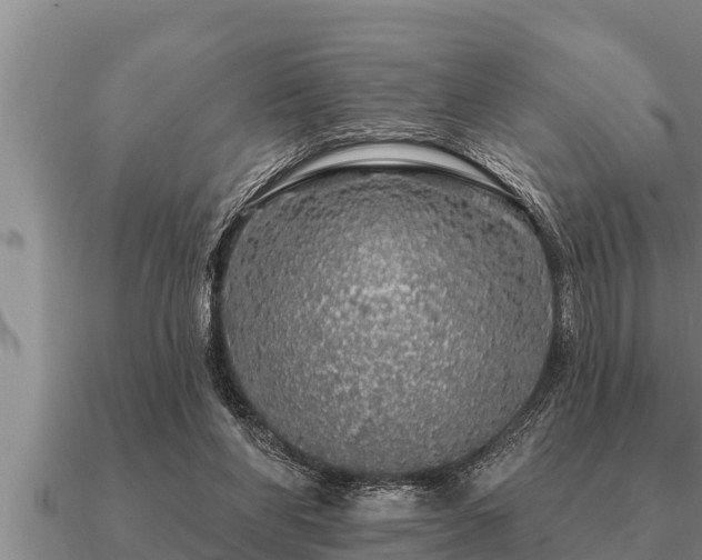 X0000091090206200708061644