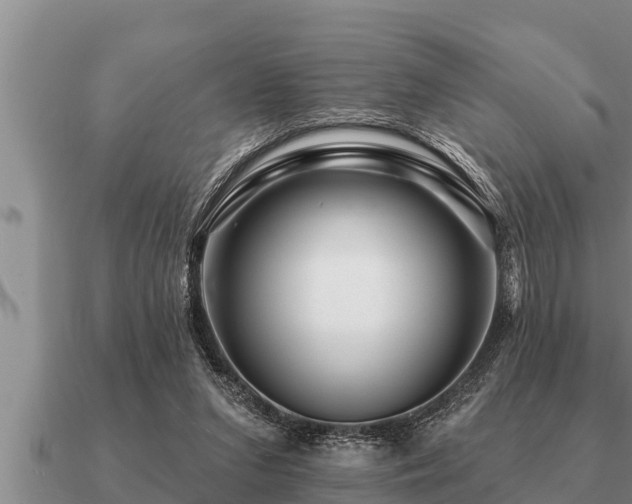 X0000091090207200708061644