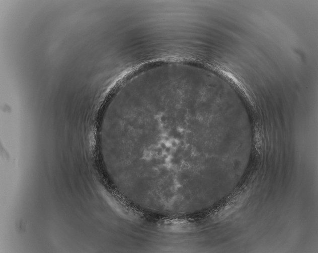 X0000091090208200708061644