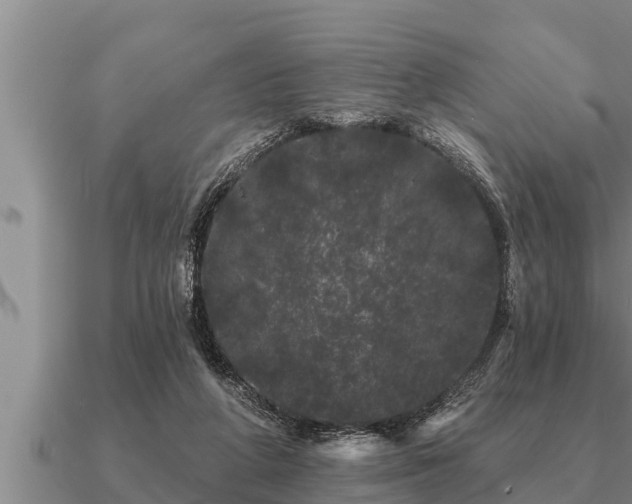 X0000091090210200708061644