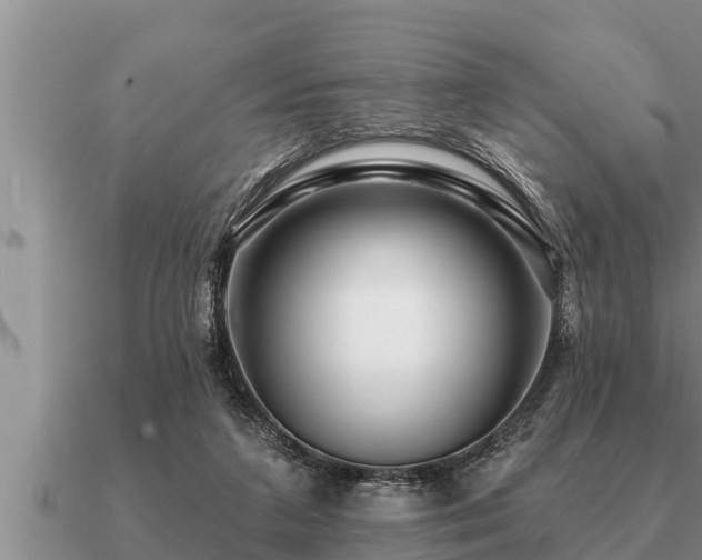 X0000091090211200708061644