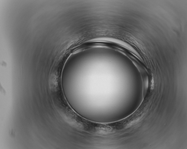 X0000091090215200708061644