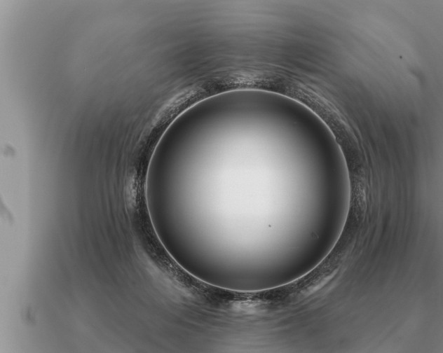 X0000091090216200708061644