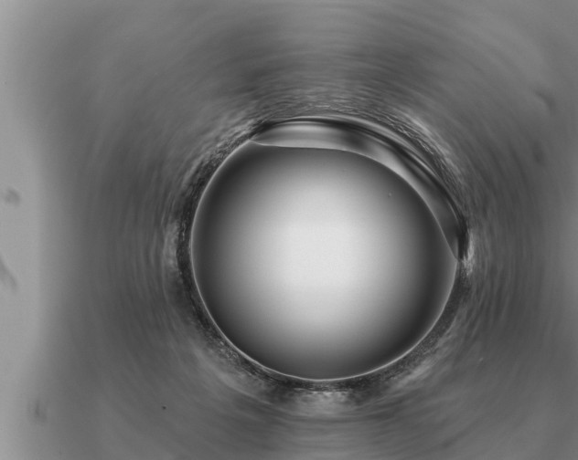 X0000091090217200708061644
