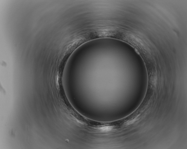 X0000091090219200708061644
