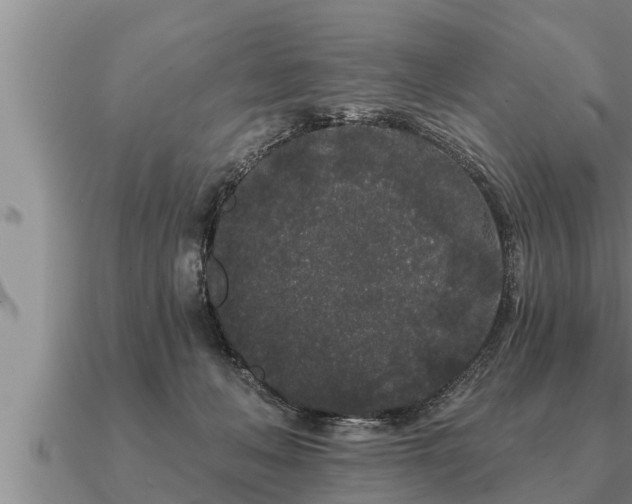 X0000091090222200708061644