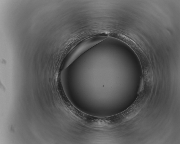 X0000091090223200708061644
