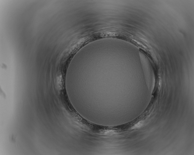 X0000091090224200708061644
