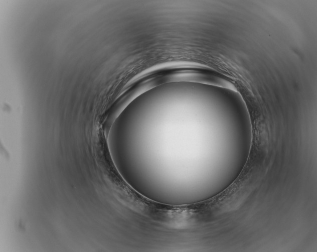 X0000091090225200708061644