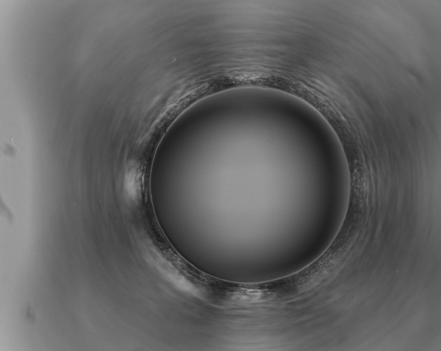 X0000091090227200708061644