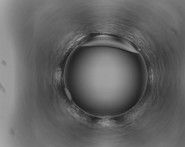 X0000091090231200708061644