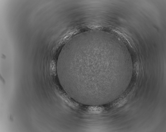 X0000091090234200708061644