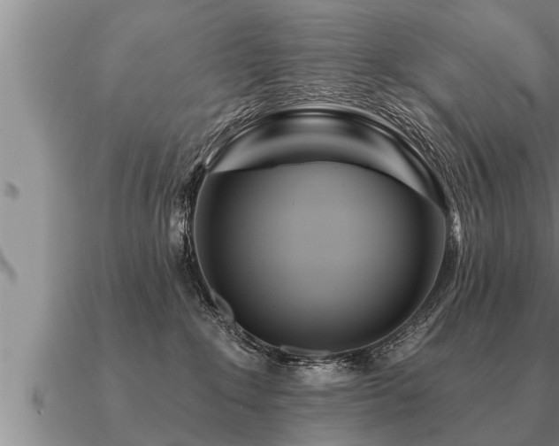 X0000091090235200708061644