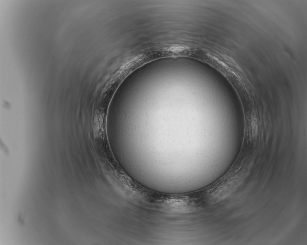 X0000091090236200708061644