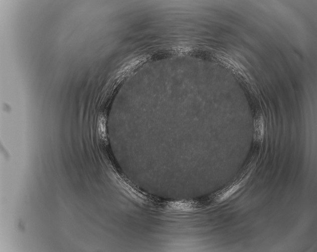 X0000091090238200708061644