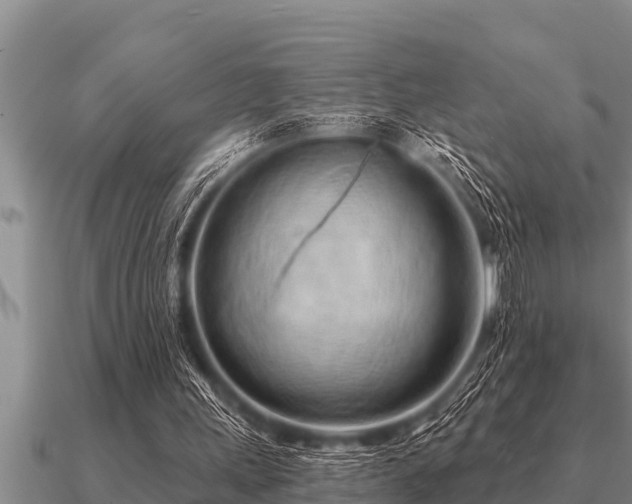 X0000091090243200708061643