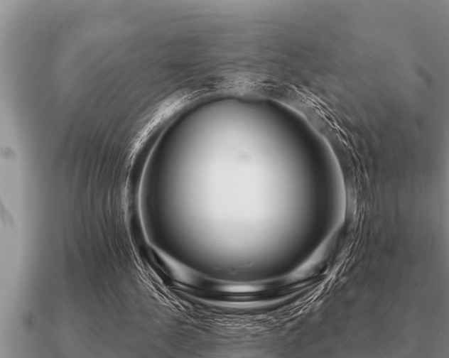 X0000091090244200708061643