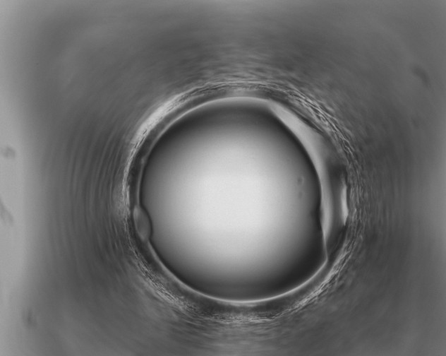 X0000091090246200708061643