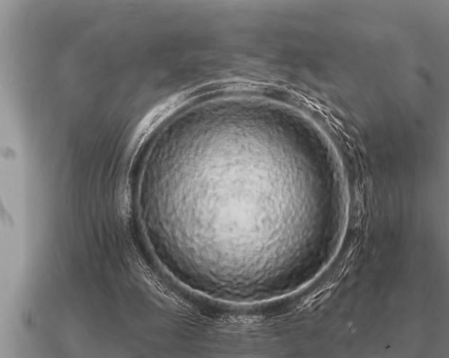 X0000091090247200708061643
