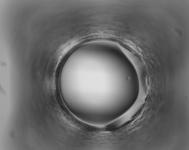 X0000091090248200708061643