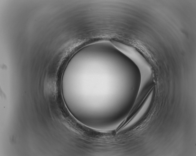 X0000091090252200708061643