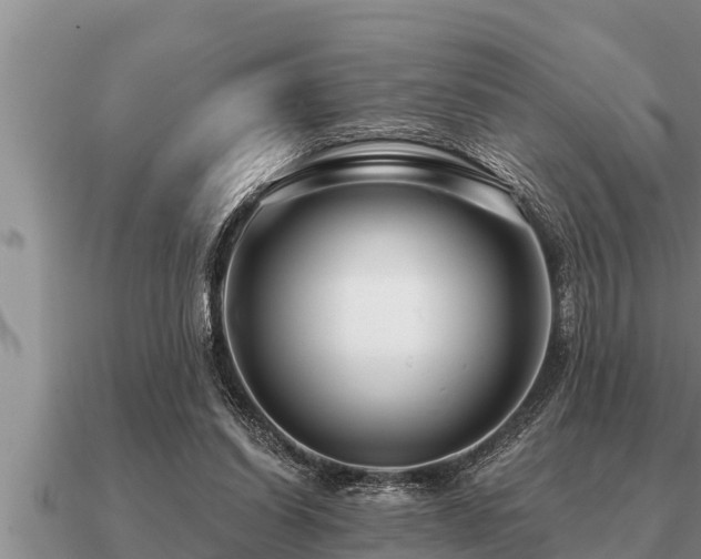X0000091090254200708061643