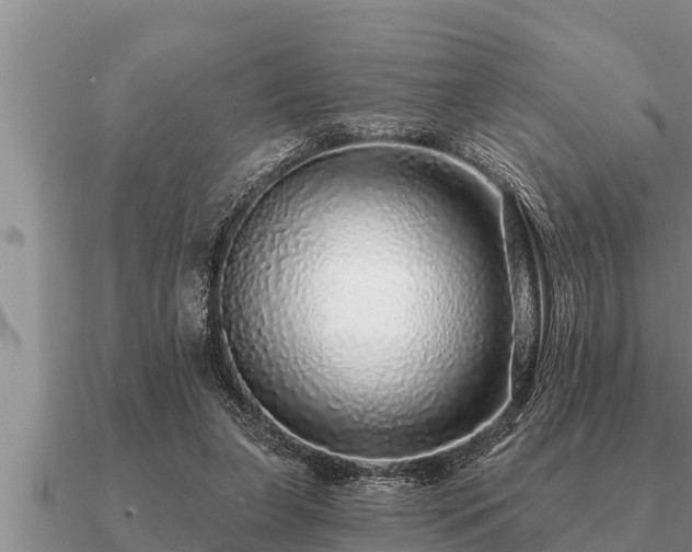 X0000091090255200708061643