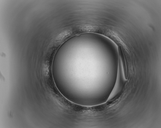 X0000091090259200708061643