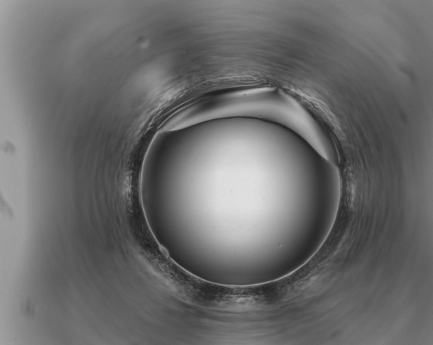 X0000091090260200708061643