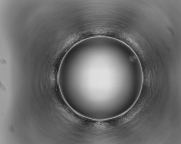 X0000091090261200708061643