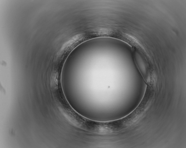 X0000091090264200708061643