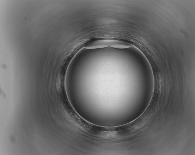 X0000091090266200708061643