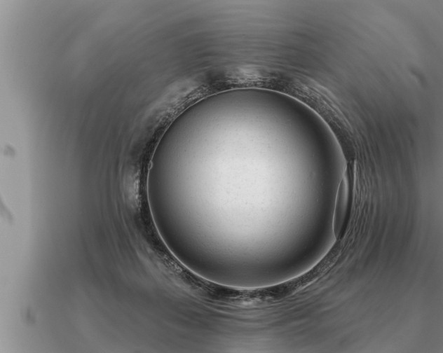 X0000091090267200708061644