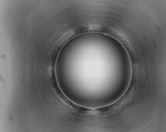 X0000091090269200708061644