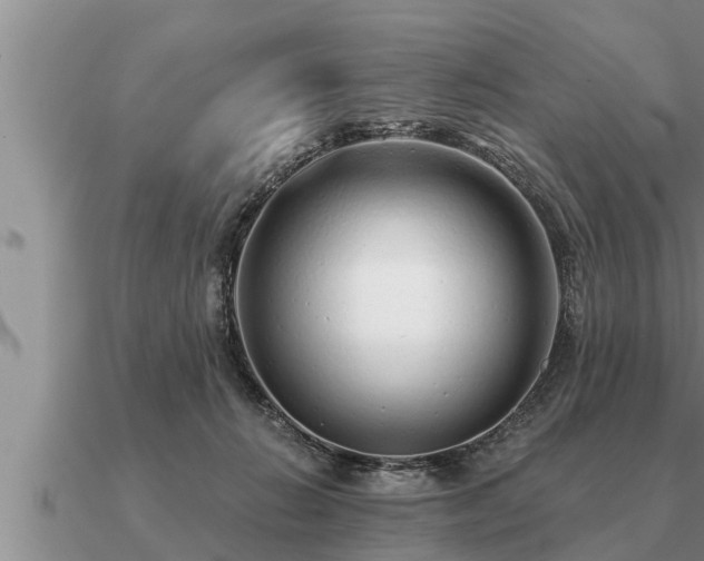 X0000091090270200708061644