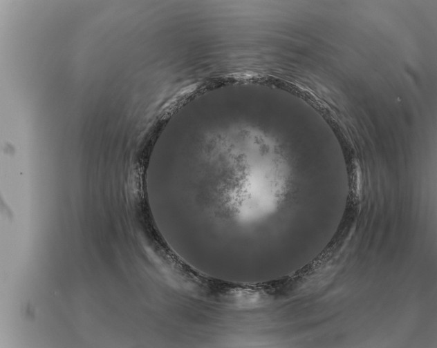 X0000091090272200708061644