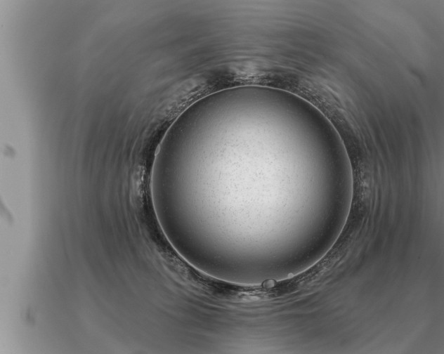 X0000091090275200708061644