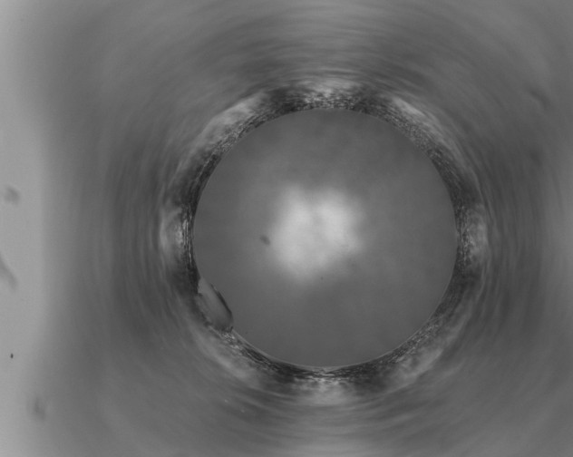 X0000091090276200708061644