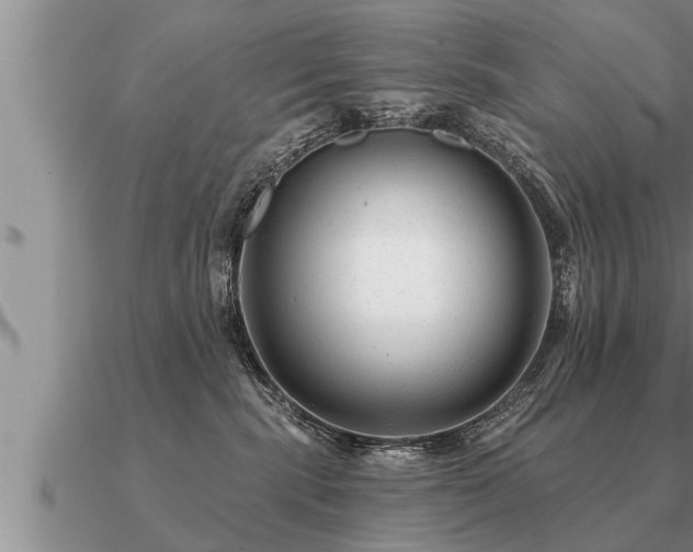 X0000091090283200708061644