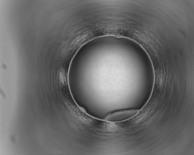 X0000091090287200708061644